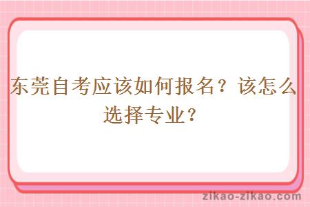 东莞自考应该如何报名?该怎么选择专业?