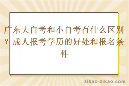 广东大自考和小自考有什么区别？