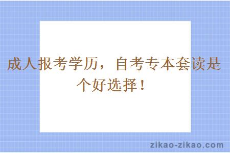 成人报考学历,自考专本套读是个好选择!
