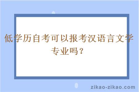 低学历自考可以报考汉语言文学专业吗?