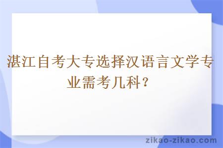 湛江自考大专选择汉语言文学专业需考几科?