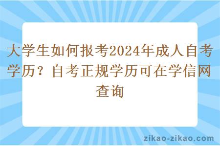 大学生如何报考2024年成人自考学历?自考正规学历可在学信网查询