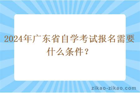 2024年广东省自学考试报名需要什么条件？