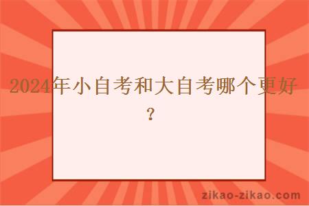2024年小自考和大自考哪个更好?