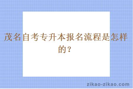 茂名自考专升本报名流程是怎样的?