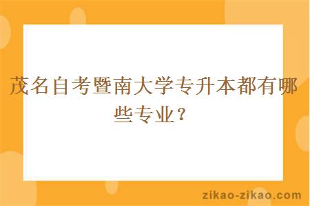 茂名自考暨南大学专升本都有哪些专业?