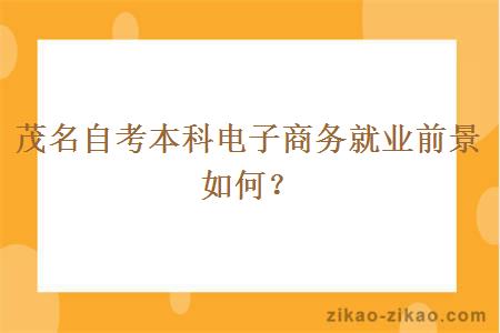 茂名自考本科电子商务就业前景如何?