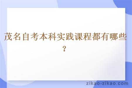 茂名自考本科实践课程都有哪些？