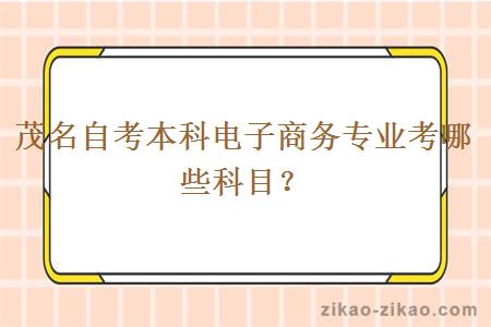 茂名自考本科电子商务专业考哪些科目?