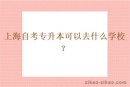 上海自考专升本可以去什么学校?