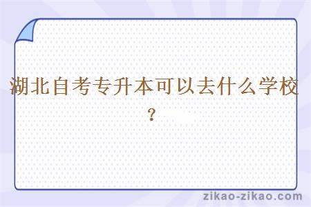 湖北自考专升本可以去什么学校?