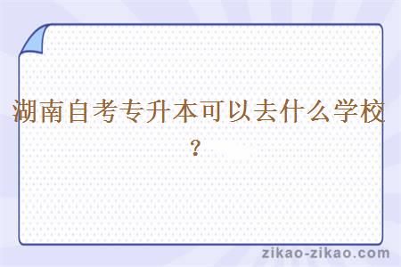 湖南自考专升本可以去什么学校?