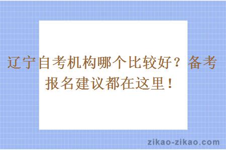 辽宁自考机构哪个比较好?