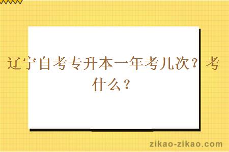 辽宁自考专升本一年考几次?考什么?