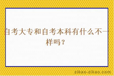自考大专和自考本科有什么不一样吗?
