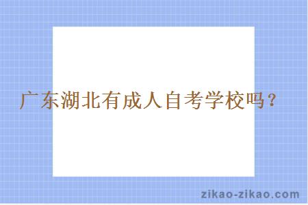 广东湖北有成人自考学校吗?