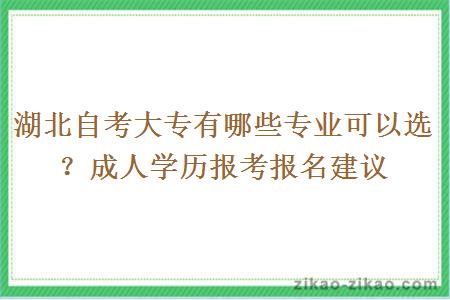 湖北自考大专有哪些专业可以选?成人学历报考报名建议