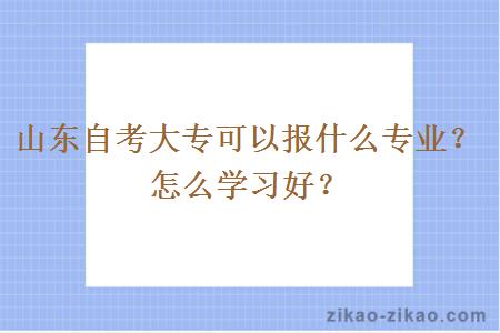山东自考大专可以报什么专业?怎么学习好?