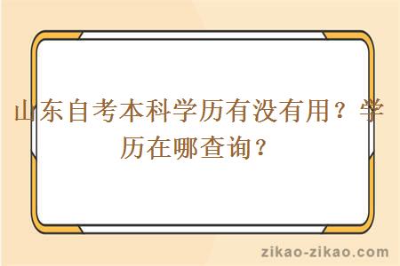 山东自考本科学历有没有用?学历在哪查询?
