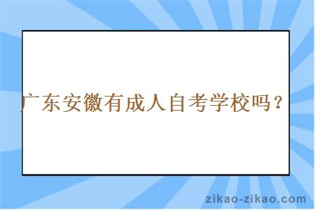 广东安徽有成人自考学校吗?
