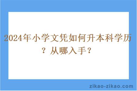 2024年小学文凭如何升本科学历？从哪入手？