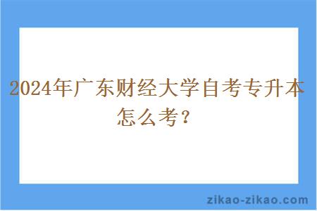 2024年广东财经大学自考专升本怎么考?