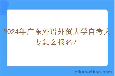 2024年广东外语外贸大学自考大专怎么报名?