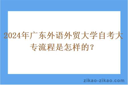 2024年广东外语外贸大学自考大专流程是怎样的?