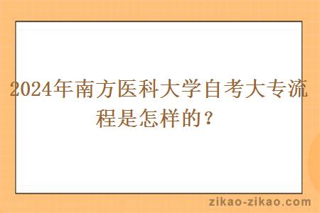 2024年南方医科大学自考大专流程是怎样的?