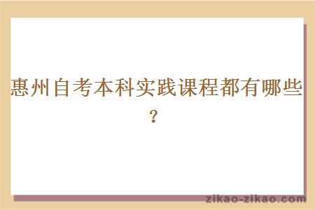 惠州自考本科实践课程都有哪些?