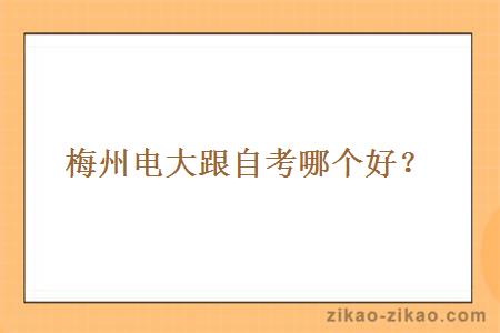 梅州电大跟自考哪个好?