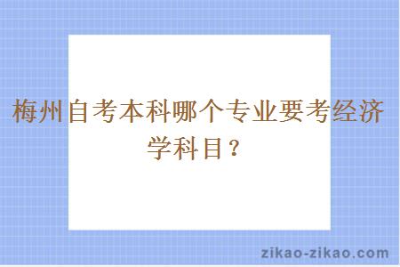 梅州自考本科哪个专业要考经济学科目?