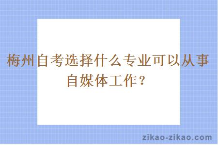 梅州自考选择什么专业可以从事自媒体工作?
