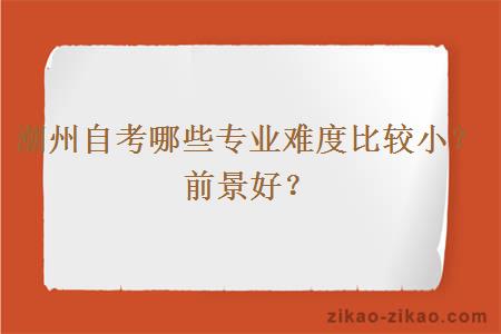 潮州自考哪些专业难度比较小?前景好?