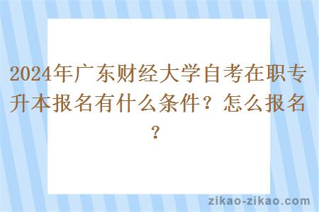 2024年广东财经大学自考在职专升本报名有什么条件?怎么报名?