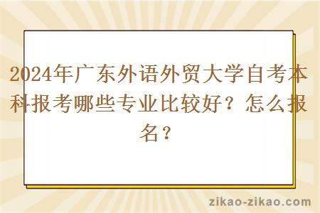 2024年广东外语外贸大学自考本科报考哪些专业比较好?怎么报名?