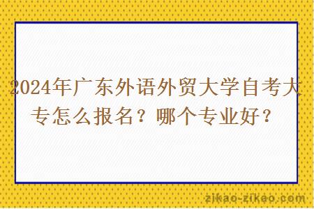 2024年广东外语外贸大学自考大专怎么报名?哪个专业好?