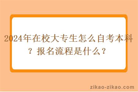 2024年在校大专生怎么自考本科?报名流程是什么?