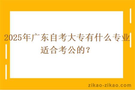 2025年广东自考大专有什么专业适合考公的? 2025年广东自考大专有什么专业适合考公的?