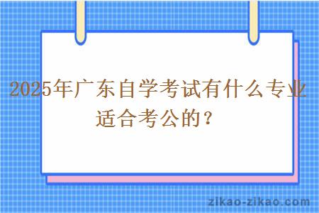2025年广东自学考试有什么专业适合考公的? 2025年广东自学考试有什么专业适合考公的?