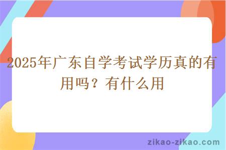 2025年广东自学考试学历真的有用吗?有什么用 2025年广东自学考试学历真的有用吗?有什么用