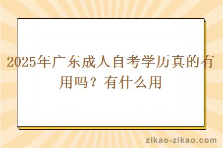 2025年广东成人自考学历真的有用吗?有什么用 2025年广东成人自考学历真的有用吗?有什么用