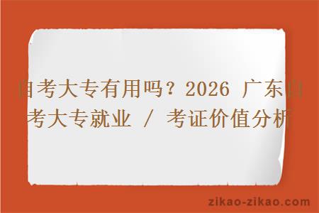 自考大专有用吗？2026 广东自考大专就业 / 考证价值分析