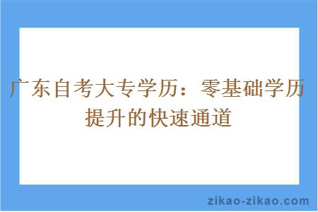 广东自考大专学历：零基础学历提升的快速通道