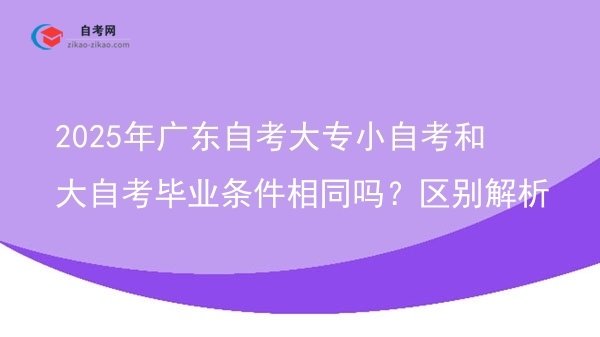 2025年广东自考大专小自考和大自考毕业条件相同吗？区别解析图片