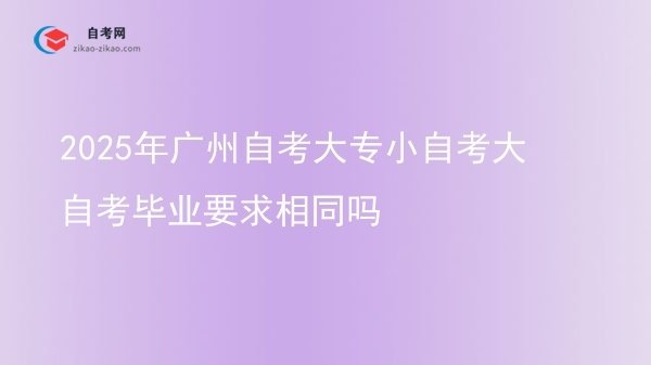 2025年广州自考大专小自考大自考毕业要求相同吗图片
